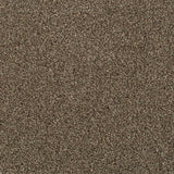 Nova 40 Cassius 70oz Heathers Invictus Carpet Clearance