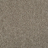 Linseed 41 Cassius 70oz Heathers Invictus Carpet Clearance