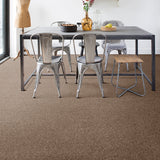 Stevia 42 Cassius 70oz Heathers Invictus Carpet Clearance