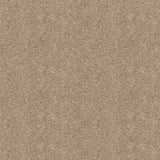 Champagne 39 Orion 50oz Invictus Carpet