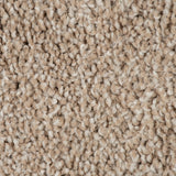 Champagne Flagship Saxony Carpet