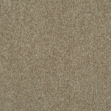 Chiffon 91 Revolution Soft Heathers Intenza Carpet