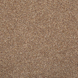 Chocolate StainFree Panache Carpet
