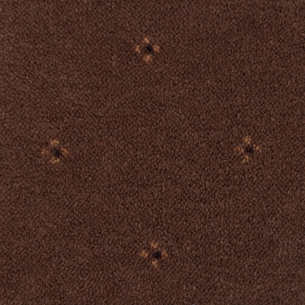 Chocolate Brown 44 Solo Carpet