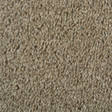 Coconut 995 Dublin Heathers Carpet