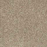 Cookie Dough 46 Temptation Carpet Clearance