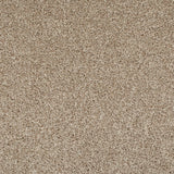 Cookie Dough 46 Temptation Carpet Clearance