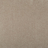 Splendid Saxony Actionback Carpet