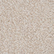 Magic Touch 620 Soft Noble Actionback Carpet