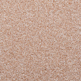 Cream Silk 640 Moorland Twist Felt Backed Carpet