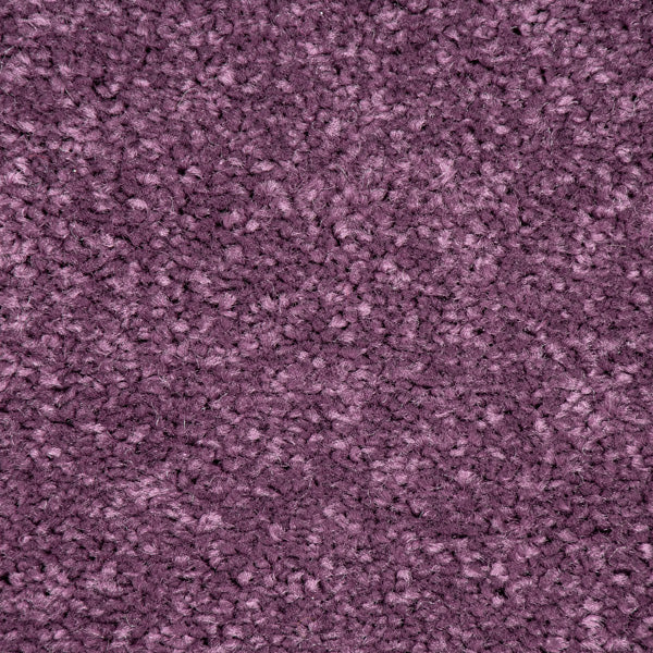 Damson Purple 115 Carousel Twist Carpet