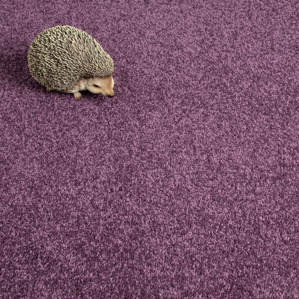 Damson Purple 115 Carousel Twist Carpet