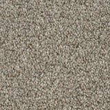 Highgate 09 Darius 50oz Heathers Invictus Carpet Clearance