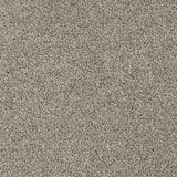 Highgate 09 Darius 50oz Heathers Invictus Carpet Clearance
