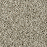 Lilylock 29 Darius 50oz Heathers Invictus Carpet Clearance