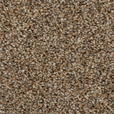 Okra 38 Darius 50oz Heathers Invictus Carpet 4.3m x 5m Remnant
