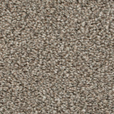 Linseed 41 Darius 50oz Heathers Invictus Carpet Clearance