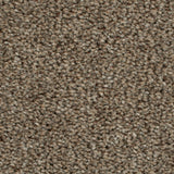 Stevia 42 Darius 50oz Heathers Invictus Carpet Clearance