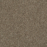 Stevia 42 Darius 50oz Heathers Invictus Carpet Clearance