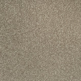 Dusky Brown Missouri Saxony Carpet