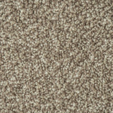 Dusky Brown Missouri Saxony Carpet