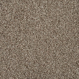 Dusky Brown Soft Hawaii Saxony Carpet
