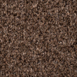 Earth Brown 92 Liberty Heathers Twist Carpet