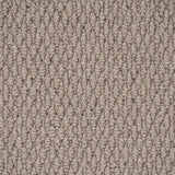 Earth Brown Florida Loop Carpet