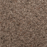 Eclipse Natural Berber Twist Deluxe 55oz Carpet by Cormar