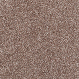 Birch Brown 39 Everest Twist Carpet