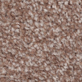 Birch Brown 39 Everest Twist Carpet