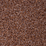 Fallen Leaves 755 Moorland Twist Action Backed Carpet