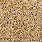 Fern 35 Pegasus 70oz Heathers Invictus Carpet