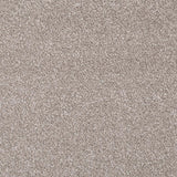Forest Walk Apollo Plus Carpet - far