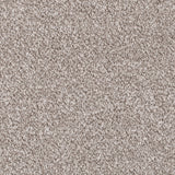 Forest Walk Apollo Plus Carpet - close