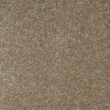 French Beige 37 Orion 50oz Invictus Carpet