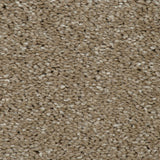 French Beige 37 Orion 50oz Invictus Carpet