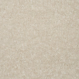 Frosted Dawn 05 Promenade FusionBac Carpet