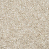 Frosted Dawn 05 Promenade FusionBac Carpet