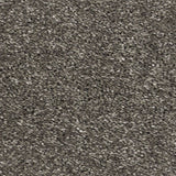 Gallant Grey 970 Sarabi Carpet