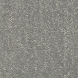 Heavenly 340 Timeless & Stripes Carpet