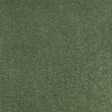 Aspen 24 Hercules Twist Invictus Carpet