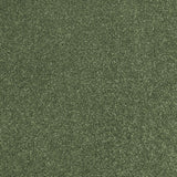 Aspen 24 Hercules Twist Invictus Carpet