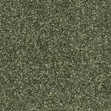 Aspen 24 Hercules Twist Invictus Carpet