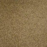 Chantilly StainFree Images Twist Carpet