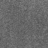 Iron 166 Easy Living Carpet