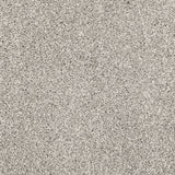 Kale 95 Pegasus 70oz Heathers Invictus Carpet