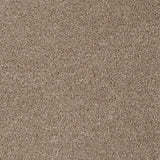 Light Brown 194 Revolution Carpet
