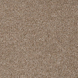 Light Brown 194 Revolution Carpet