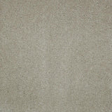 Macaroon 37 Magnificus Invictus Supreme Carpet